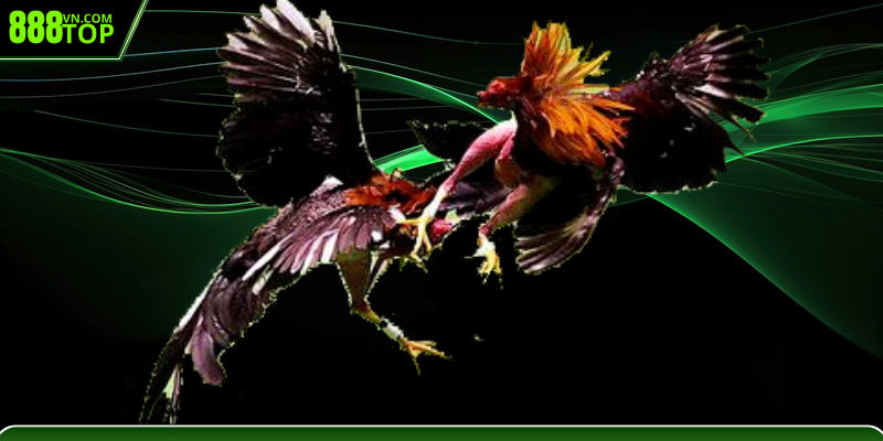 Bật mí kinh nghiệm chọn cửa cược