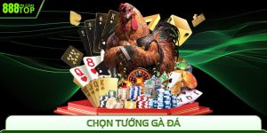 Chọn Tướng Gà Đá 888Top - Nhận Diện Chuẩn, Thắng Cực Dễ