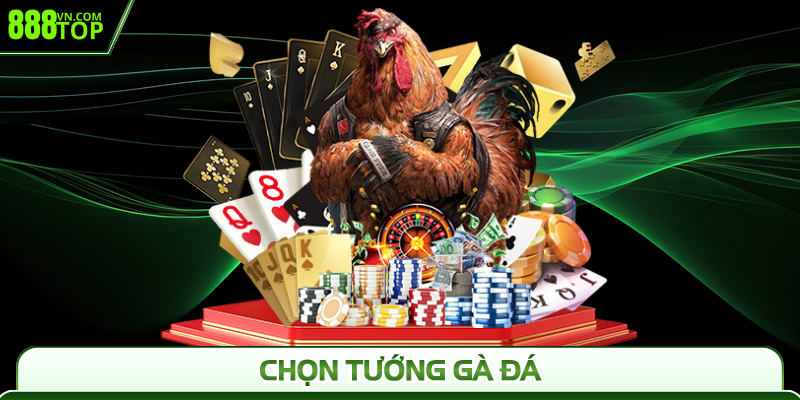 Chọn Tướng Gà Đá 888Top - Nhận Diện Chuẩn, Thắng Cực Dễ