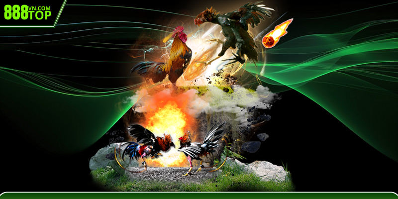 Giới thiệu chọn tướng gà đá