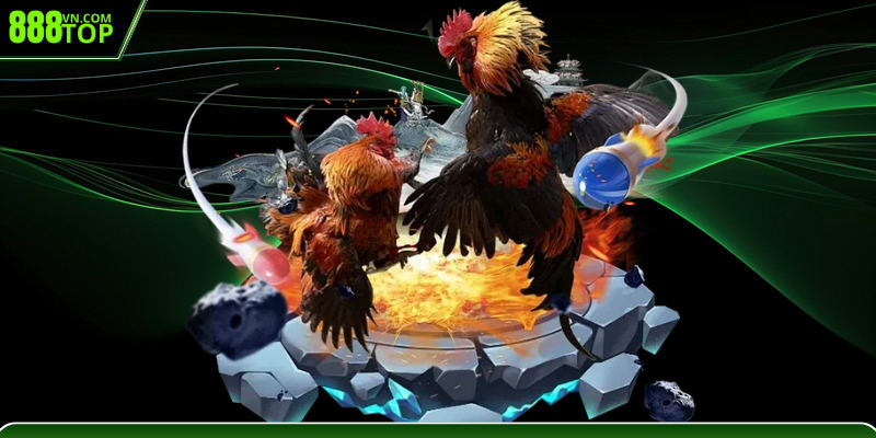 Nhận diện đặc điểm nổi bật của đấu trường Thomo